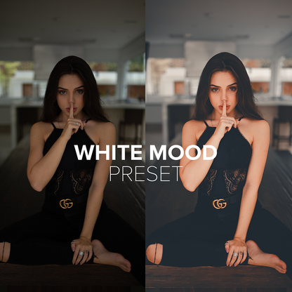 ALL PRESETS by @luizclas