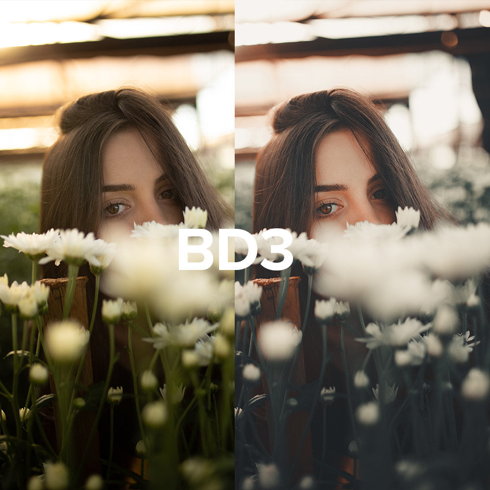 BOLD COLLECTION by @luizclas