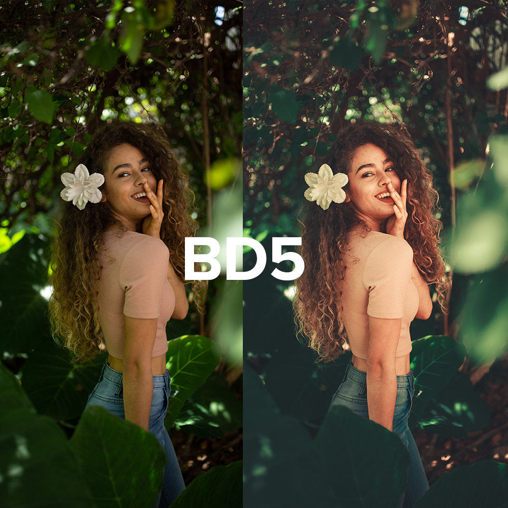 BOLD COLLECTION by @luizclas